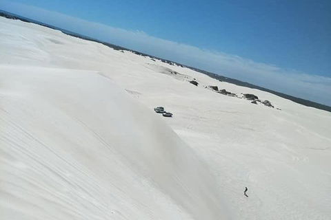 Yanchep & Lancelin - Wildlife, Cave And Sands - Pubs Melbourne 3