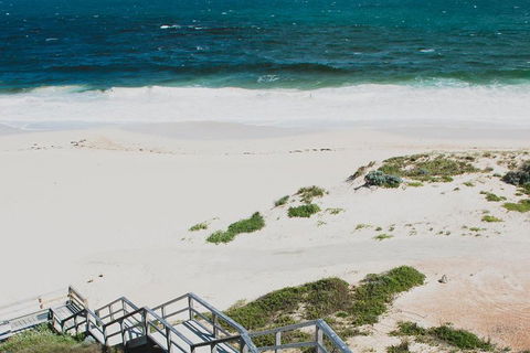 Yanchep & Lancelin - Wildlife, Cave And Sands - Pubs Melbourne 5