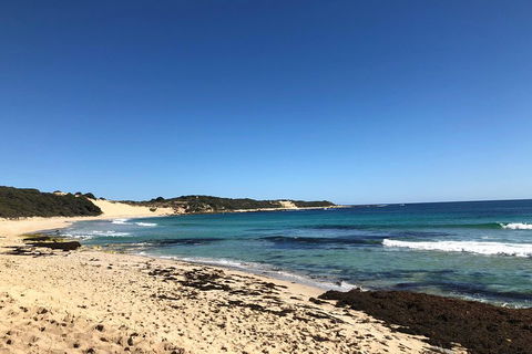 3d/2n Themed Camping Getaway - Private Campgrounds And National Parks - Pubs Melbourne 3