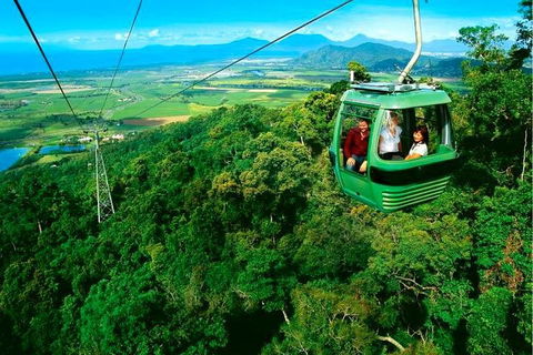 4-Day Cairns Ultimate Combo: Daintree Rainforest, Reef, Kuranda & Paronella Park - Pubs Melbourne 1