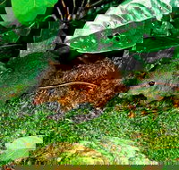 3-Day Small-Group Tour of North Queensland with Pick Up - Pubs Melbourne