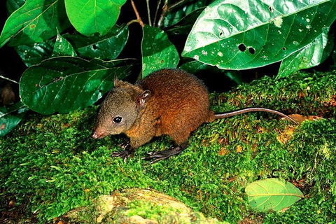 3-Day Small-Group Tour Of North Queensland With Pick Up - Pubs Melbourne 0