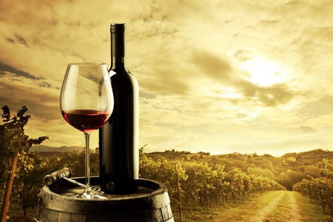 Barossa Valley Cellar Doors Luxury Wine Tour - Pubs Melbourne 0