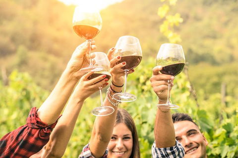 Barossa Valley Cellar Doors Luxury Wine Tour - Pubs Melbourne 1