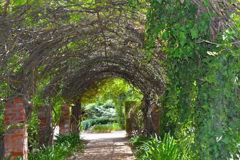 Barossa Valley Cellar Doors Luxury Wine Tour - Pubs Melbourne 3