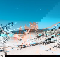 4 Day  3 Night Whitsunday Islands  Outer Reef Sailing Adventure on Condor - Pubs Melbourne