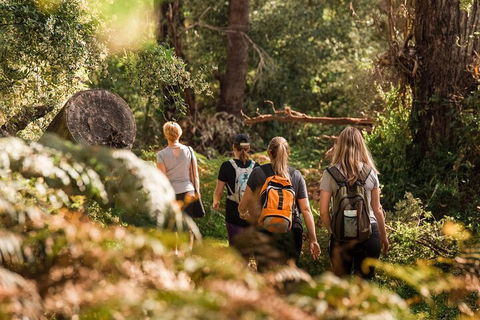 Cabaret Cave Yoga & Mindful Hike - Pubs Melbourne 2