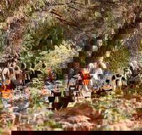 Half-Day Yanchep Ghost House Wilderness Guided Hike Tour - Pubs Melbourne