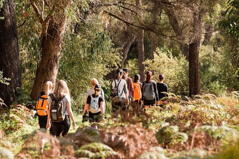 Half-Day Yanchep Ghost House Wilderness Guided Hike Tour - Pubs Melbourne 0