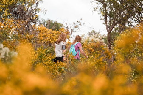 Half-Day Yanchep Ghost House Wilderness Guided Hike Tour - Pubs Melbourne 4