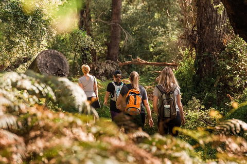 Half-Day Yanchep Ghost House Wilderness Guided Hike Tour - Pubs Melbourne 5
