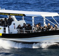 Mooloolaba Whale Watching Tour
