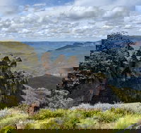 Blue Mountains Private Tour - wild kangaroos waterfalls and The Three Sisters - Pubs Melbourne