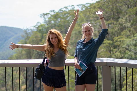 Full-Day Guided Hinterland Adventure Tour In Queensland - Pubs Melbourne 3