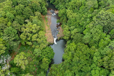 Full-Day Guided Hinterland Adventure Tour In Queensland - Pubs Melbourne 4