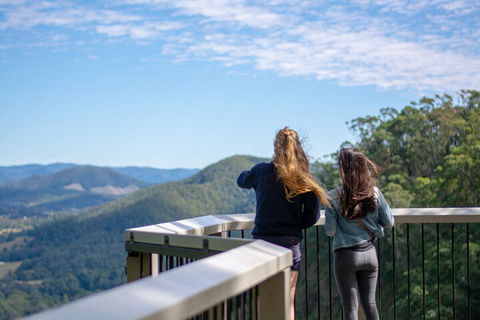 Full-Day Guided Hinterland Adventure Tour In Queensland - Pubs Melbourne 5