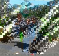 Tropical Fruit World with Wildlife Boat Cruise from Gold Coast - Pubs Melbourne