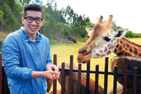 Croc Express To Australia Zoo From Gold Coast - Pubs Melbourne 1