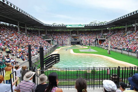 Croc Express To Australia Zoo From Gold Coast - Pubs Melbourne 2