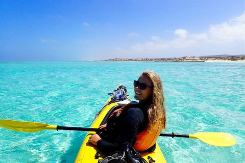 Lagoon Explorer - Ningaloo Reef Full-Day Kayaking And Snorkeling Adventure - Pubs Melbourne 1