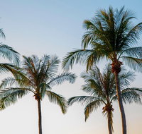 Darwin City Sightseeing Tour - Pubs Melbourne
