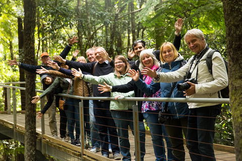 All Inclusive Blue Mountains Small-Group Day Trip From Sydney - Pubs Melbourne 5
