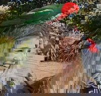 Lamington National Park O'Reilly's  Vineyard Tour - Pubs Melbourne