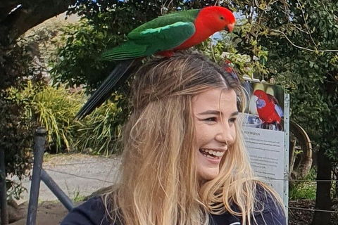 Lamington National Park, O'Reilly's & Vineyard Tour - Pubs Melbourne 0