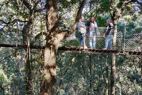 Lamington National Park, O'Reilly's & Vineyard Tour - Pubs Melbourne 2