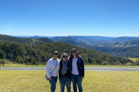 Lamington National Park, O'Reilly's & Vineyard Tour - Pubs Melbourne 3
