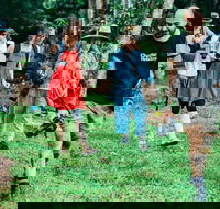 Let's Go Buggin  Let's Go Shroomin - Photography  Nature Walking Tours - Pubs Melbourne