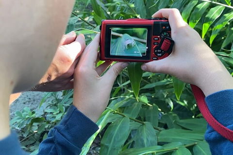 Let's Go Buggin & Let's Go Shroomin - Photography & Nature Walking Tours - Pubs Melbourne 2