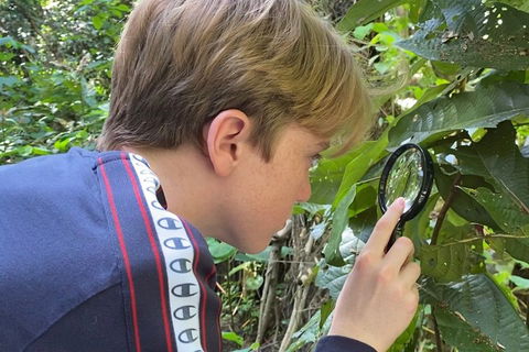 Let's Go Buggin & Let's Go Shroomin - Photography & Nature Walking Tours - Pubs Melbourne 3