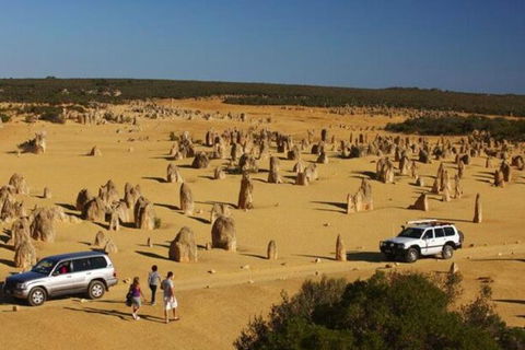 1-Day Pinnacles And Yanchep Tour From Perth Including Fish And Chips Lunch - Pubs Melbourne 0