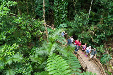 2 Day Daintree Rainforest, Cape Tribulation And Outback Chillagoe Tour - Pubs Melbourne 3