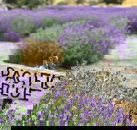 Kangaroo Island Food and Wine Trail Tour - Pubs Melbourne