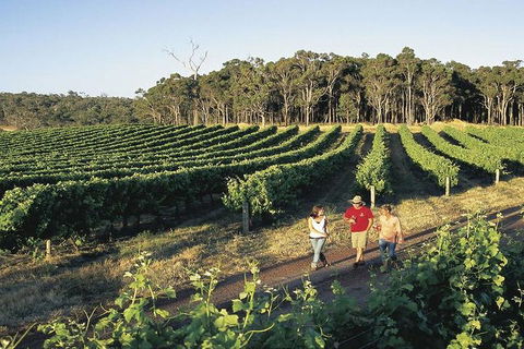2-Day Margaret River Wine Experience From Perth - Pubs Melbourne 3