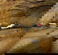 2-Day Wave Rock York Wildflowers  Aboriginal Experience - Pubs Melbourne