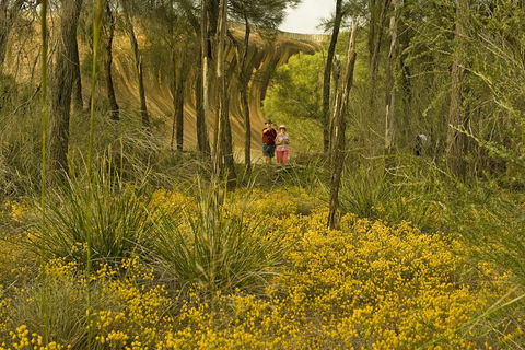 2-Day Wave Rock, York, Wildflowers & Aboriginal Experience - Pubs Melbourne 2