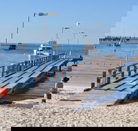 Monkey Mia Dolphins  Shark Bay Air Tour From Perth - Pubs Melbourne
