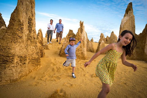 Full-Day Pinnacles Desert And Yanchep National Park Tour From Perth - Pubs Melbourne 0