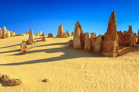 Full-Day Pinnacles Desert And Yanchep National Park Tour From Perth - Pubs Melbourne 2