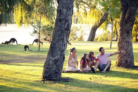 Full-Day Pinnacles Desert And Yanchep National Park Tour From Perth - Pubs Melbourne 3