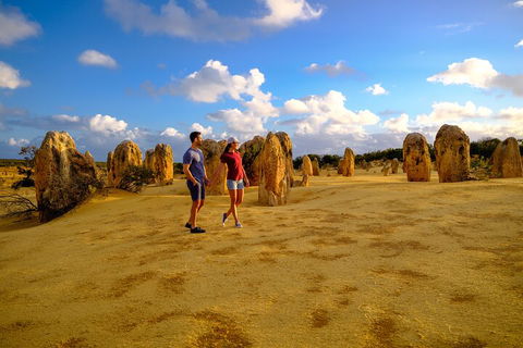Full-Day Pinnacles Desert And Yanchep National Park Tour From Perth - Pubs Melbourne 4