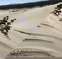 Port Stephens Bush Beach and Sand Dune 4WD Tag-Along Tour - Pubs Melbourne