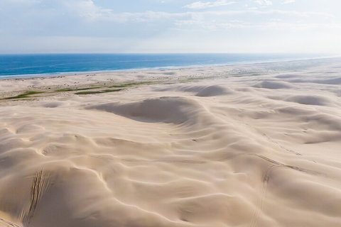 Port Stephens Bush, Beach And Sand Dune 4WD Passenger Tour - Pubs Melbourne 2