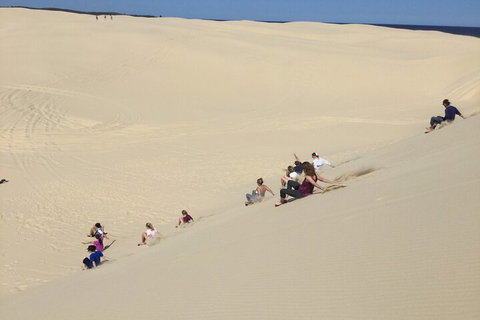 Port Stephens Bush, Beach And Sand Dune 4WD Passenger Tour - Pubs Melbourne 4