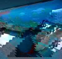 Great Barrier Reef Day Cruise to Reefworld - Pubs Melbourne