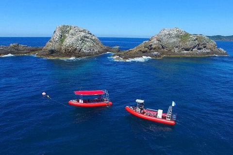 3-Hour Byron Bay Certified Scuba Diving Tour - Pubs Melbourne 0