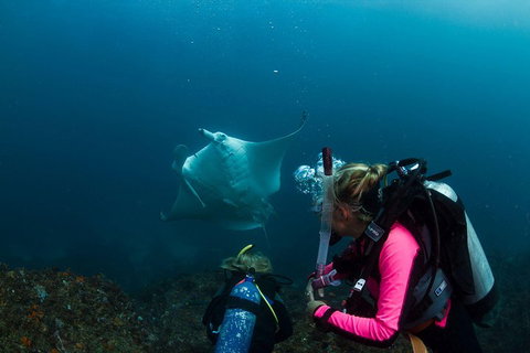 3-Hour Byron Bay Certified Scuba Diving Tour - Pubs Melbourne 2